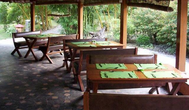 Wild Trail Resort, Kashipur 4